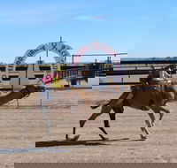 Bedourie Camel and Pig Races and Camp oven Cook-off - Accommodation QLD