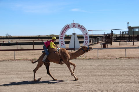 Bedourie Camel And Pig Races And Camp Oven Cook-off - Accommodation QLD 0