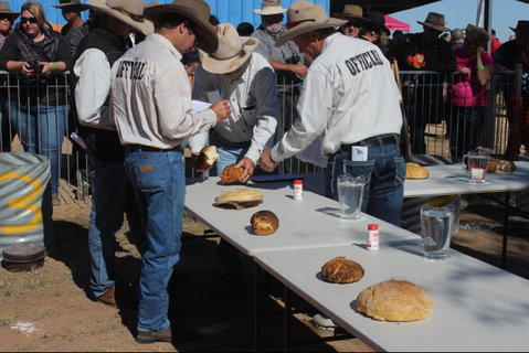 Bedourie Camel And Pig Races And Camp Oven Cook-off - Accommodation QLD 2