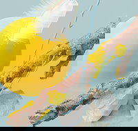 Beethoven 250 - Accommodation QLD