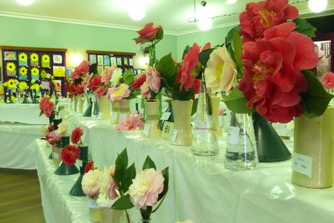 Blackheath Flower And Craft Show - Accommodation QLD 1
