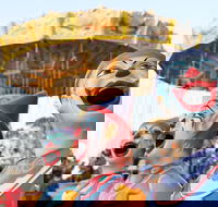 Campbelltown City Festival of Fisher's Ghost - Accommodation QLD