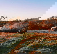 Cargo Road Wines Grande Fiamma - Accommodation QLD