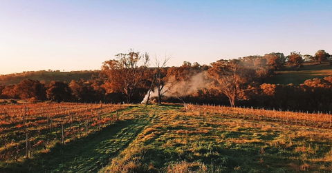 Cargo Road Wines Grande Fiamma - Accommodation QLD 0