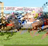 Casino Cup - Accommodation QLD