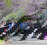 Celtic Festival of Queensland - Accommodation QLD