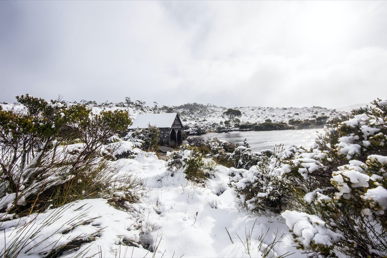 Cradle Mountain TAS Accommodation QLD