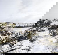 Christmas in July at Cradle Mountain Hotel 2020 - Accommodation QLD