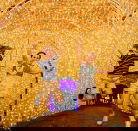 Christmas Lights Spectacular New Year's Eve at Hunter Valley Gardens - Accommodation QLD