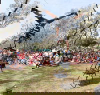 Coffs Harbour International Buskers and Comedy Festival - Accommodation QLD