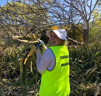 Conservation Volunteers Australia Townsville - Beach Scrub Conservation - Accommodation QLD