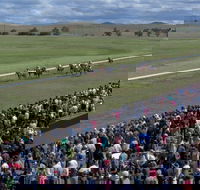 Cooma Sundowners Cup - Accommodation QLD