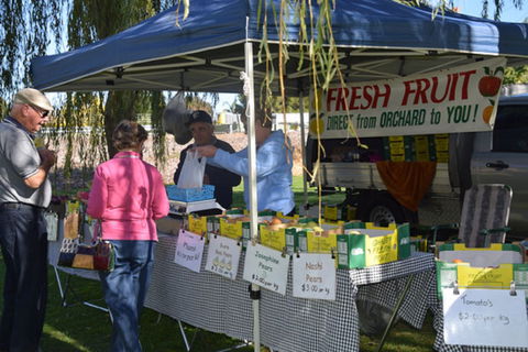 Corowa Rotary Federation Farmers And Variety Market - Accommodation QLD 1