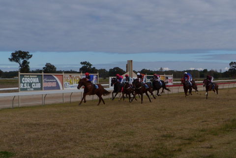 Corowa Horseraces - Accommodation QLD 0