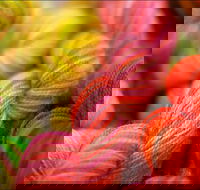 Creative Fibre - Accommodation QLD