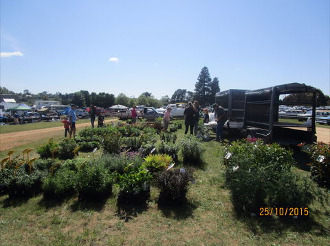 Crookwell Rotary Swap Meet And Market Day - Accommodation QLD 1