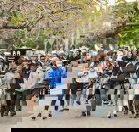 Diabetes Australia Walk to Work Day-Sydney