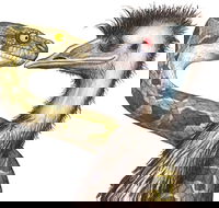 Edward The Emu - Accommodation QLD