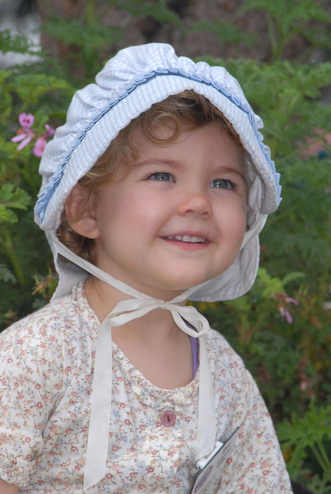 Festival Of The Big Cow - Accommodation QLD 1