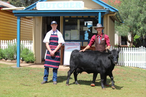 Festival Of The Big Cow - Accommodation QLD 2