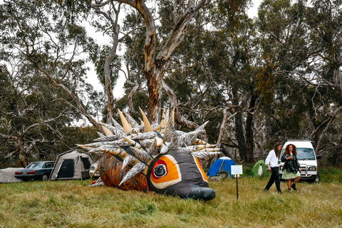 Field Good Festival - Accommodation QLD 2