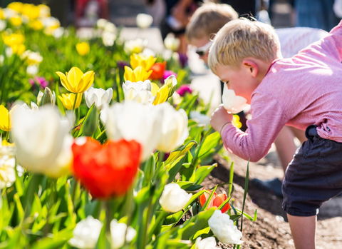 Floriade: Reimagined - Accommodation QLD 1