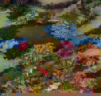 Glenrock Gardens Open Garden - Accommodation QLD