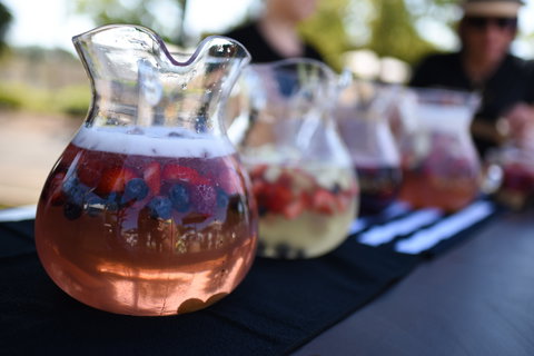 Griffith Spring Fest - LINX Launch Party - Accommodation QLD 2