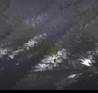 Halinka Orszlok Black Bob's Creek - Accommodation QLD