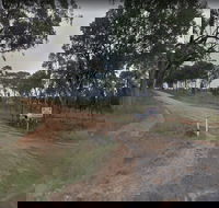 Hartwood Campfires and Country Music - Accommodation QLD