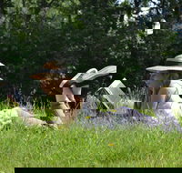 High Country Writers Festival - Accommodation QLD