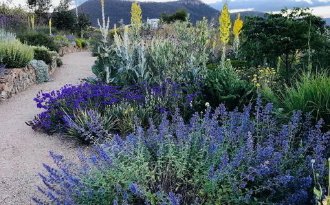 Highfield Gardens - Accommodation QLD 0