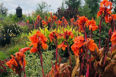 Highfield Gardens - Accommodation QLD 1