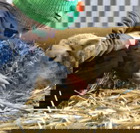 Horsham Agricultural Show - Accommodation QLD