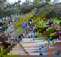 Husky Half Running Festival - Accommodation QLD