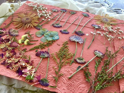 Introduction To Paper Making - Accommodation QLD 0