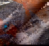 Learn all about Australia's Hidden Treasures - The Kimberley - Accommodation QLD