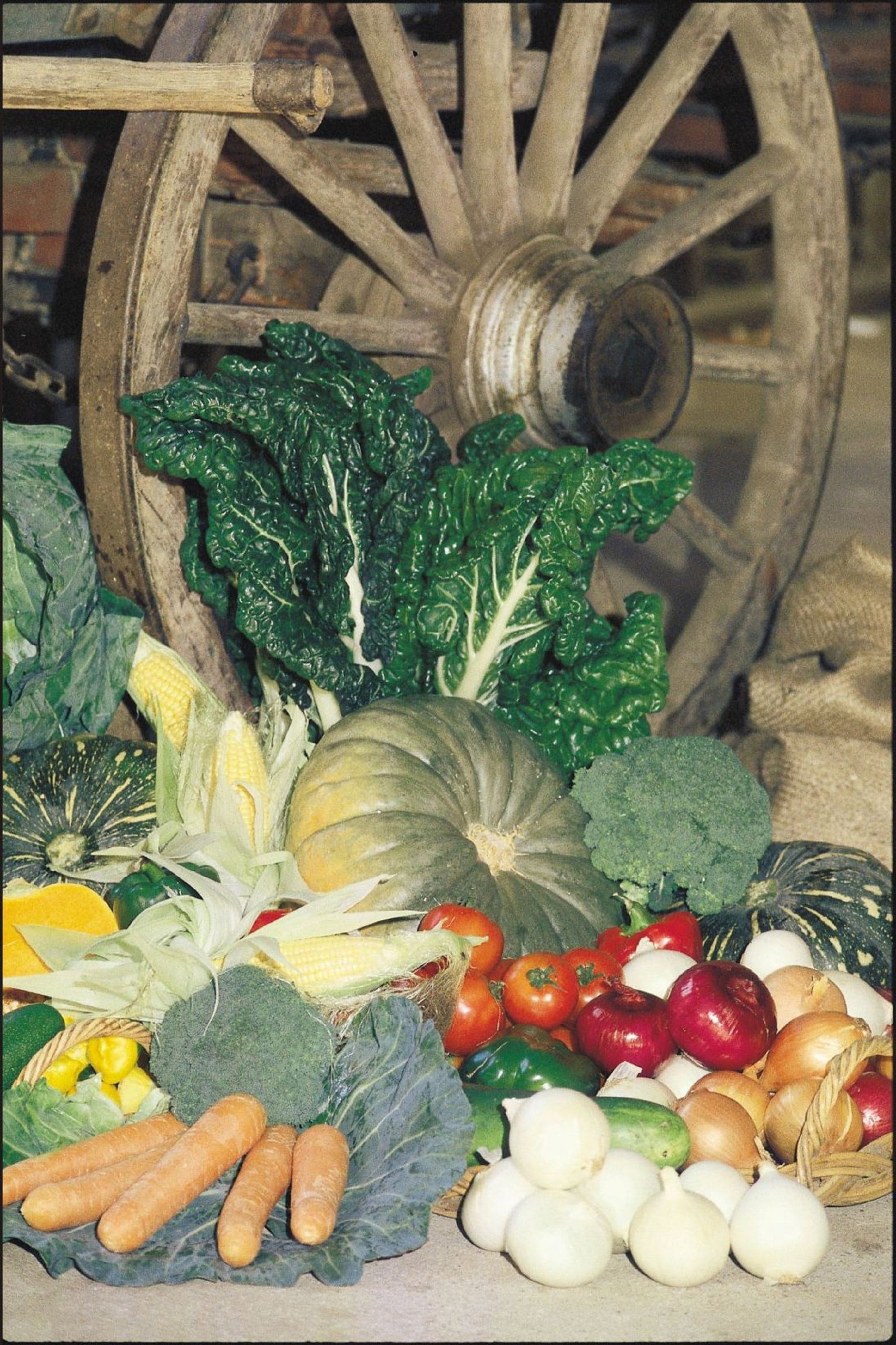 Mulgowie QLD Accommodation QLD