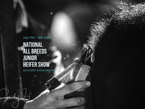 National All Breeds Junior Heifer Show - Accommodation QLD 0