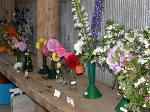 Neville Show - Accommodation QLD 0