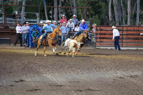 North Queensland Elite Rodeo - Accommodation QLD 0