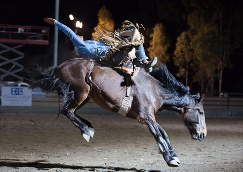 North Queensland Elite Rodeo - Accommodation QLD 1