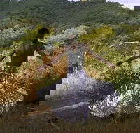 Online exhibition recess presents - Accommodation QLD