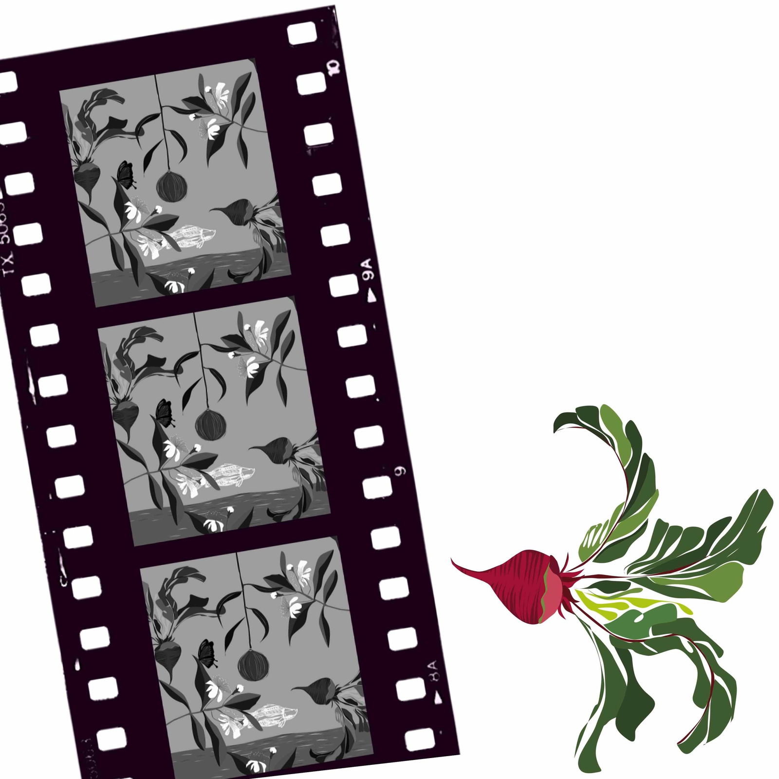 Cairns North QLD Accommodation QLD