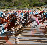 Port Stephens Triathlon Festival - Accommodation QLD
