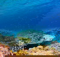 Recovery of the Great Barrier Reef - Accommodation QLD
