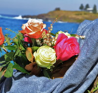 Roses by the Seaside National Rose Championships and Conference - Accommodation QLD
