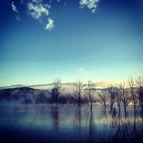 Scenic Rim Ultra - Accommodation QLD 0