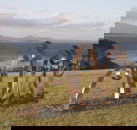 Sculpture Bermagui - Accommodation QLD