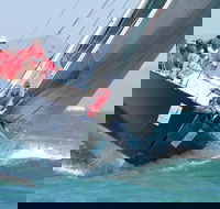 SeaLink Magnetic Island Race Week - Accommodation QLD
